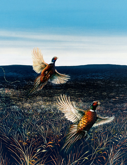 Tom Lybeck Original Pheasants in Flight