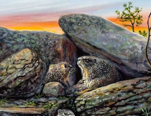 The Story Behind the Painting: First Light on Marmot Trail