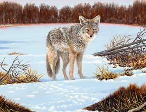 The Story Behind the Painting: Tracks in the Snow