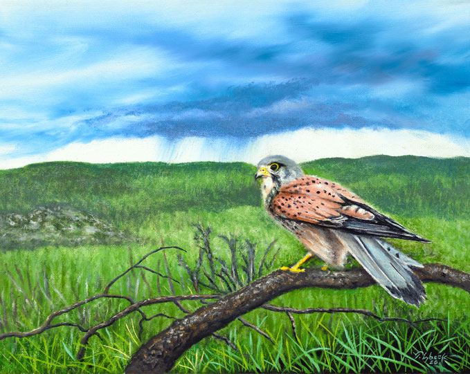 689×541-BirdsOfPrey-Flight-Risk Tom Lybeck Original Oil Painting Flight Risk